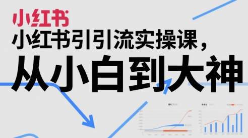 小红书引流实操课，从小白到大神直击课堂-直击课堂博客|网赚教程_各大网赚论坛VIP教程直击课堂博客