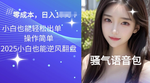 2025骚气导航语音包项目，零基础小白单日变现多张直击课堂-直击课堂博客|网赚教程_各大网赚论坛VIP教程直击课堂博客