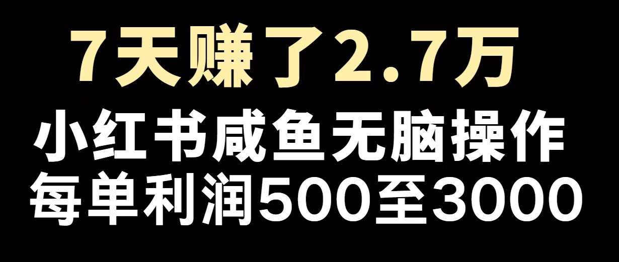 （14183期）最赚钱项目之一，2025爆火，逆风翻盘！直击课堂-直击课堂博客|网赚教程_各大网赚论坛VIP教程直击课堂博客