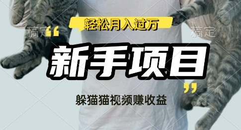 利用老外躲猫猫大赛视频，挣分成收益，操作简单，新手小白，轻松月入过W直击课堂-直击课堂博客|网赚教程_各大网赚论坛VIP教程直击课堂博客