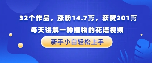 32个作品，涨粉14.7W，获赞201W，每天讲解一种植物的花语视频，无需任何技巧，新手小白轻松上手直击课堂-直击课堂博客|网赚教程_各大网赚论坛VIP教程直击课堂博客