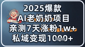 2025爆款 AI 老奶奶项目：亲测 7 天涨粉 1W+，私域变现 1k+直击课堂-直击课堂博客|网赚教程_各大网赚论坛VIP教程直击课堂博客