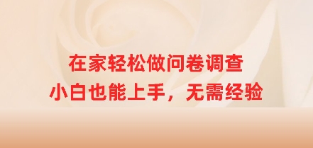 在家轻松做问卷调查，小白也能上手，无需经验直击课堂-直击课堂博客|网赚教程_各大网赚论坛VIP教程直击课堂博客