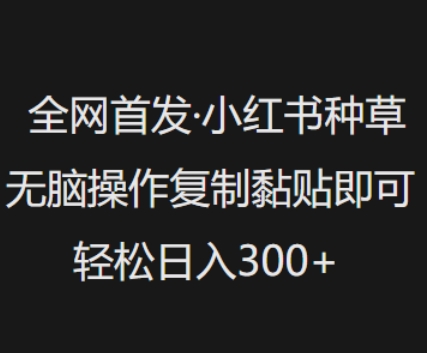 全网首发，小红书种草无脑操作，复制黏贴即可，轻松日入3张直击课堂-直击课堂博客|网赚教程_各大网赚论坛VIP教程直击课堂博客