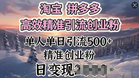 淘宝拼多多高效精准引流创业粉，单人单日引流500+创业粉，日变现多张直击课堂-直击课堂博客|网赚教程_各大网赚论坛VIP教程直击课堂博客