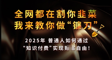 知识付费如何做到月入过W+，2025我来教你做“镰刀”【揭秘】直击课堂-直击课堂博客|网赚教程_各大网赚论坛VIP教程直击课堂博客