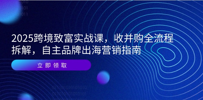 2025跨境致富实战课，收并购全流程拆解，自主品牌出海营销指南直击课堂-直击课堂博客|网赚教程_各大网赚论坛VIP教程直击课堂博客