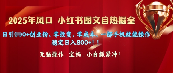 25年风口小红书图文掘金，日引300+创业粉、零投资、零成本、一部手机就能操作直击课堂-直击课堂博客|网赚教程_各大网赚论坛VIP教程直击课堂博客