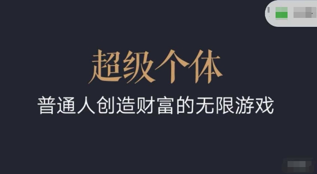 超级个体2024-2025翻盘指南，普通人创造财富的无限游戏直击课堂-直击课堂博客|网赚教程_各大网赚论坛VIP教程直击课堂博客