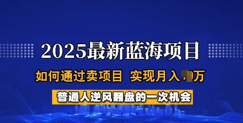 2025蓝海项目，普通人如何通过卖项目，实现月入过W，全过程【揭秘】直击课堂-直击课堂博客|网赚教程_各大网赚论坛VIP教程直击课堂博客