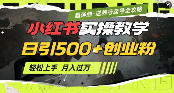 2月小红书最新日引500+创业粉实操教学【超详细】小白轻松上手，月入1W+，附小红书养号起号SOP直击课堂-直击课堂博客|网赚教程_各大网赚论坛VIP教程直击课堂博客