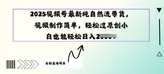 2025视频号最新纯自然流带货， 视频制作简单，轻松过原创小 白也能轻松操作直击课堂-直击课堂博客|网赚教程_各大网赚论坛VIP教程直击课堂博客