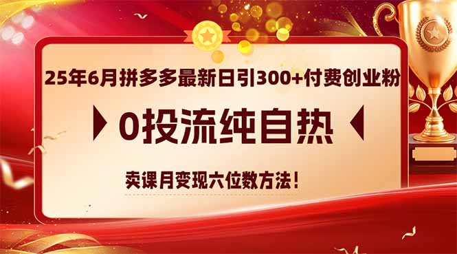 25年6月拼多多最新日引300+付费创业粉，0投流纯自热 卖课月变现六位数方法直击课堂-直击课堂博客|网赚教程_各大网赚论坛VIP教程直击课堂博客