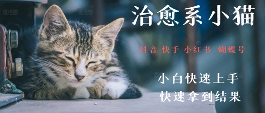 拆解，疯狂火爆！抖音，小红书，视频号小猫治愈的视频，轻松制作+快速拿到结果直击课堂-直击课堂博客|网赚教程_各大网赚论坛VIP教程直击课堂博客