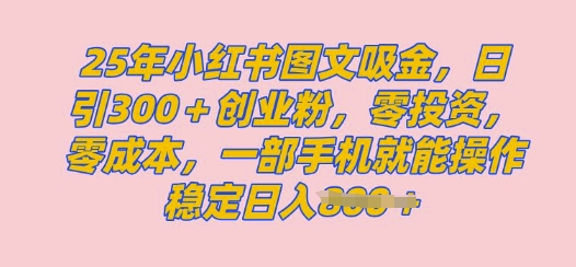 2025年小红书创业粉图文自热教程，日+300创业粉，单日变现多张，无脑操作，宝妈，小白抓紧冲直击课堂-直击课堂博客|网赚教程_各大网赚论坛VIP教程直击课堂博客
