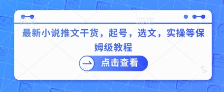 最新小说推文干货，起号，选文，实操等保姆级教程直击课堂-直击课堂博客|网赚教程_各大网赚论坛VIP教程直击课堂博客
