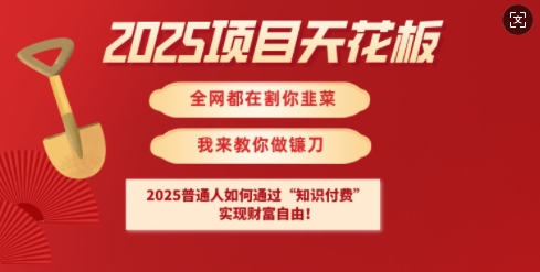 2025项目天花板普通人如何通过知识付费，实现财F自由【揭秘】直击课堂-直击课堂博客|网赚教程_各大网赚论坛VIP教程直击课堂博客