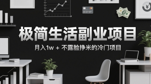 极简生活副业项目，月入1w+不露脸挣米的冷门项目直击课堂-直击课堂博客|网赚教程_各大网赚论坛VIP教程直击课堂博客