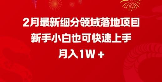 2月最新细分领域落地项目，新手小白也可快速上手，月入1W直击课堂-直击课堂博客|网赚教程_各大网赚论坛VIP教程直击课堂博客