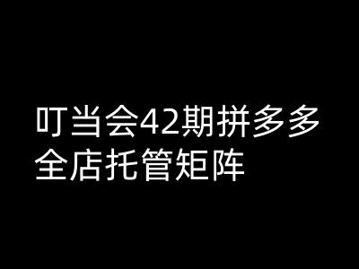 叮当会拼多多打爆班原创高阶技术第42期，拼多多全店托管矩阵直击课堂-直击课堂博客|网赚教程_各大网赚论坛VIP教程直击课堂博客