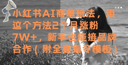 小红书AI商单玩法，用这个方法2个月涨粉7W+，新手也能接品牌合作(附全套指令模板)直击课堂-直击课堂博客|网赚教程_各大网赚论坛VIP教程直击课堂博客