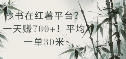 抄书在小红薯平台？平均一单30米，一天收益几张！直击课堂-直击课堂博客|网赚教程_各大网赚论坛VIP教程直击课堂博客