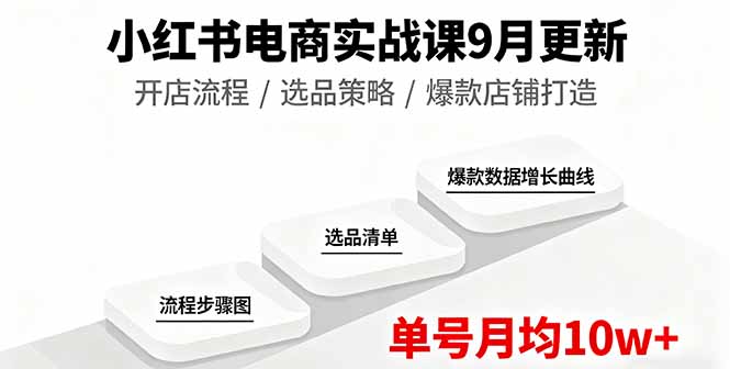 小红书电商实战课9月更新，开店流程/选品策略/爆款店铺打造，单号月均10w+直击课堂-直击课堂博客|网赚教程_各大网赚论坛VIP教程直击课堂博客