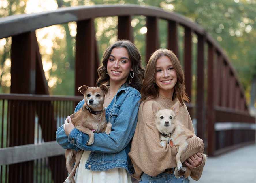 图片[1]-日入300副业网