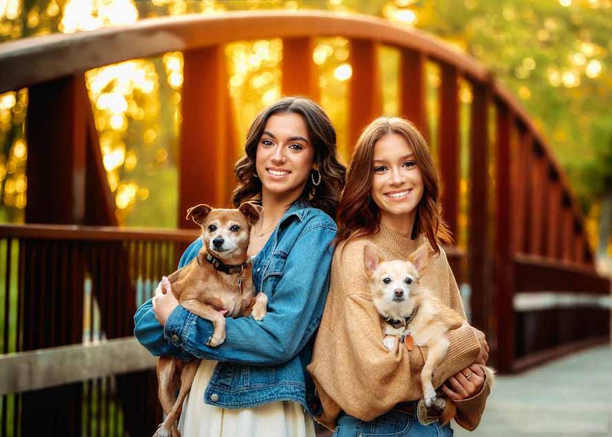 图片[2]-日入300副业网