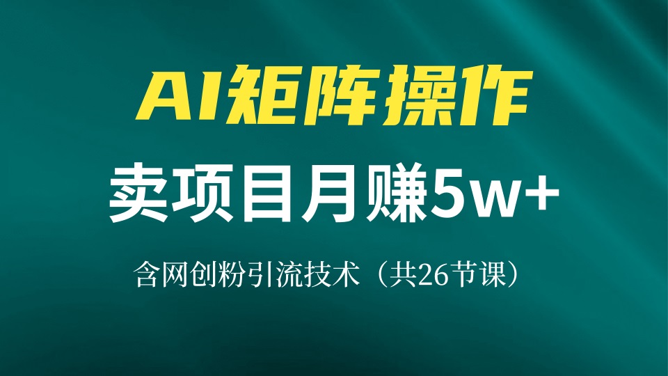 网创IP打造课，借助AI卖项目月赚5万+，含引流技术(共26节课直击课堂-直击课堂博客|网赚教程_各大网赚论坛VIP教程直击课堂博客