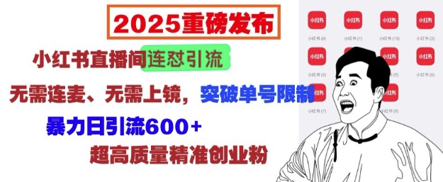 2025重磅发布：小红书直播间连怼引流，无需连麦、无需上镜，突破单号限制，暴力日引流600+直击课堂-直击课堂博客|网赚教程_各大网赚论坛VIP教程直击课堂博客