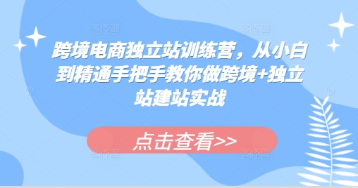 跨境电商独立站训练营，从小白到精通手把手教你做跨境+独立站建站实战直击课堂-直击课堂博客|网赚教程_各大网赚论坛VIP教程直击课堂博客