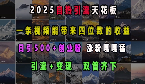 2025自热引流天花板，一条视频能带来四位数的收益，引流+变现双管齐下，日引500+创业粉，涨粉嘎嘎猛直击课堂-直击课堂博客|网赚教程_各大网赚论坛VIP教程直击课堂博客