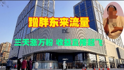 蹭胖东来流量，三天涨万粉，收益直接起飞直击课堂-直击课堂博客|网赚教程_各大网赚论坛VIP教程直击课堂博客