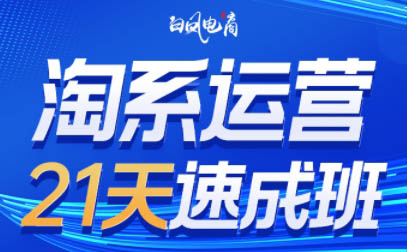 白凤电商·淘系运营21天速成班(更新6月)直击课堂-直击课堂博客|网赚教程_各大网赚论坛VIP教程直击课堂博客