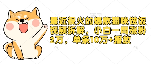 最近很火的爆款猫咪做饭视频拆解，小白一周涨粉2万，单条10万+播放(附保姆级教程)直击课堂-直击课堂博客|网赚教程_各大网赚论坛VIP教程直击课堂博客