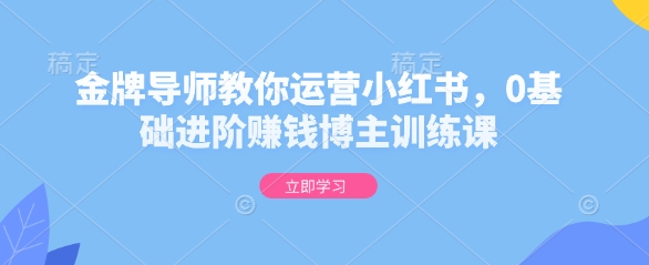 金牌导师教你运营小红书，0基础进阶赚钱博主训练课直击课堂-直击课堂博客|网赚教程_各大网赚论坛VIP教程直击课堂博客