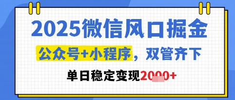 2025微信风口掘金，公众号+小程序双管齐下，单日稳定变现1k+【揭秘】直击课堂-直击课堂博客|网赚教程_各大网赚论坛VIP教程直击课堂博客