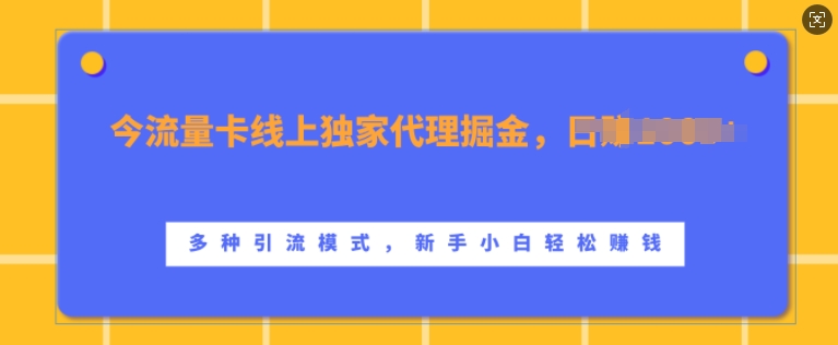 流量卡线上独家代理掘金，日入1k+ ，多种引流模式，新手小白轻松上手【揭秘】直击课堂-直击课堂博客|网赚教程_各大网赚论坛VIP教程直击课堂博客