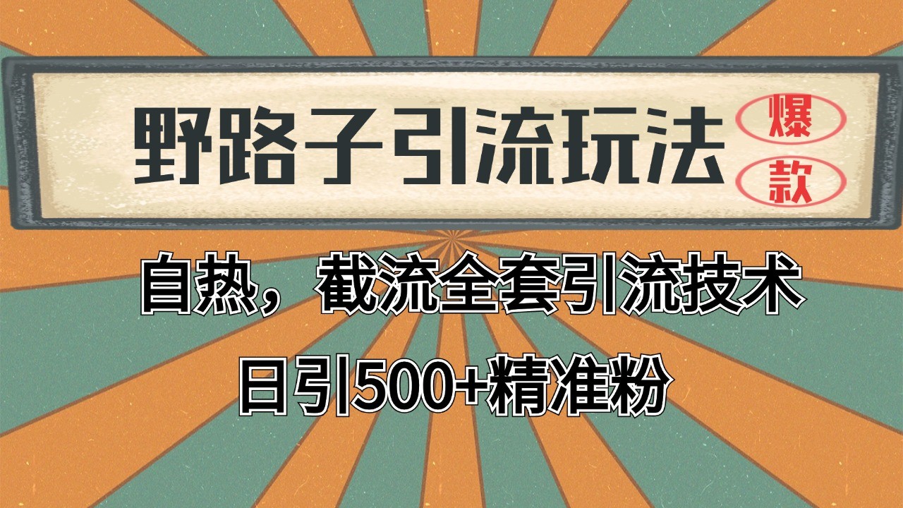 2024首发野路子引流玩法截流自热全平台打法，全自动引流【日引2000+精准客户】直击课堂-直击课堂博客|网赚教程_各大网赚论坛VIP教程直击课堂博客