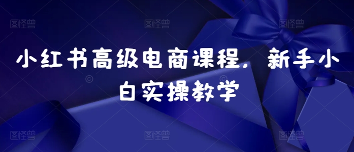 小红书高级电商课程，新手小白实操教学直击课堂-直击课堂博客|网赚教程_各大网赚论坛VIP教程直击课堂博客