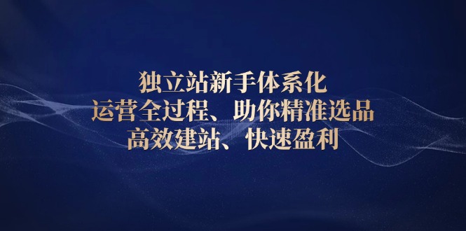 独立站新手体系化 运营全过程，助你精准选品、高效建站、快速盈利直击课堂-直击课堂博客|网赚教程_各大网赚论坛VIP教程直击课堂博客