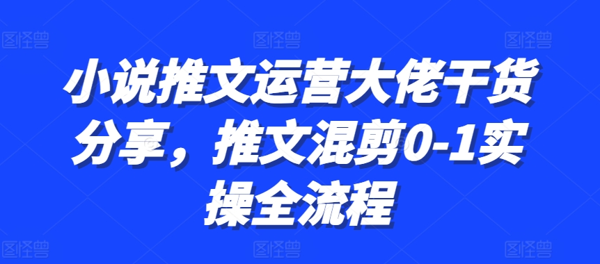 小说推文运营大佬干货分享，推文混剪0-1实操全流程直击课堂-直击课堂博客|网赚教程_各大网赚论坛VIP教程直击课堂博客