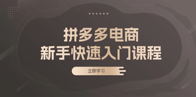 拼多多电商新手快速入门课程：涵盖基础、实战与选款，助力小白轻松上手直击课堂-直击课堂博客|网赚教程_各大网赚论坛VIP教程直击课堂博客