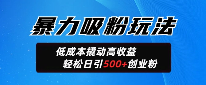 暴力吸粉玩法，日引500+精准创业粉，日变现轻松多张直击课堂-直击课堂博客|网赚教程_各大网赚论坛VIP教程直击课堂博客
