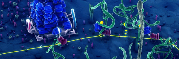 图片[2]-蚁托邦|v20260224|官方中文|Microtopia-直击课堂